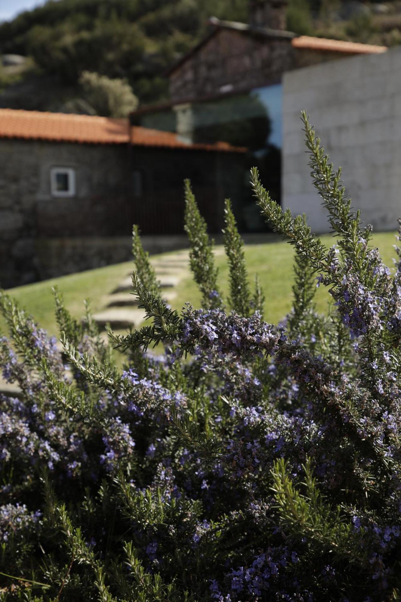 Geres - Leiras Do Tempo - Cottages Brufe Exterior foto